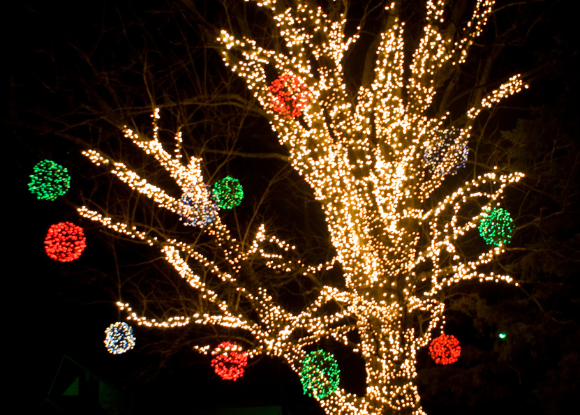 House with Christmas Lights