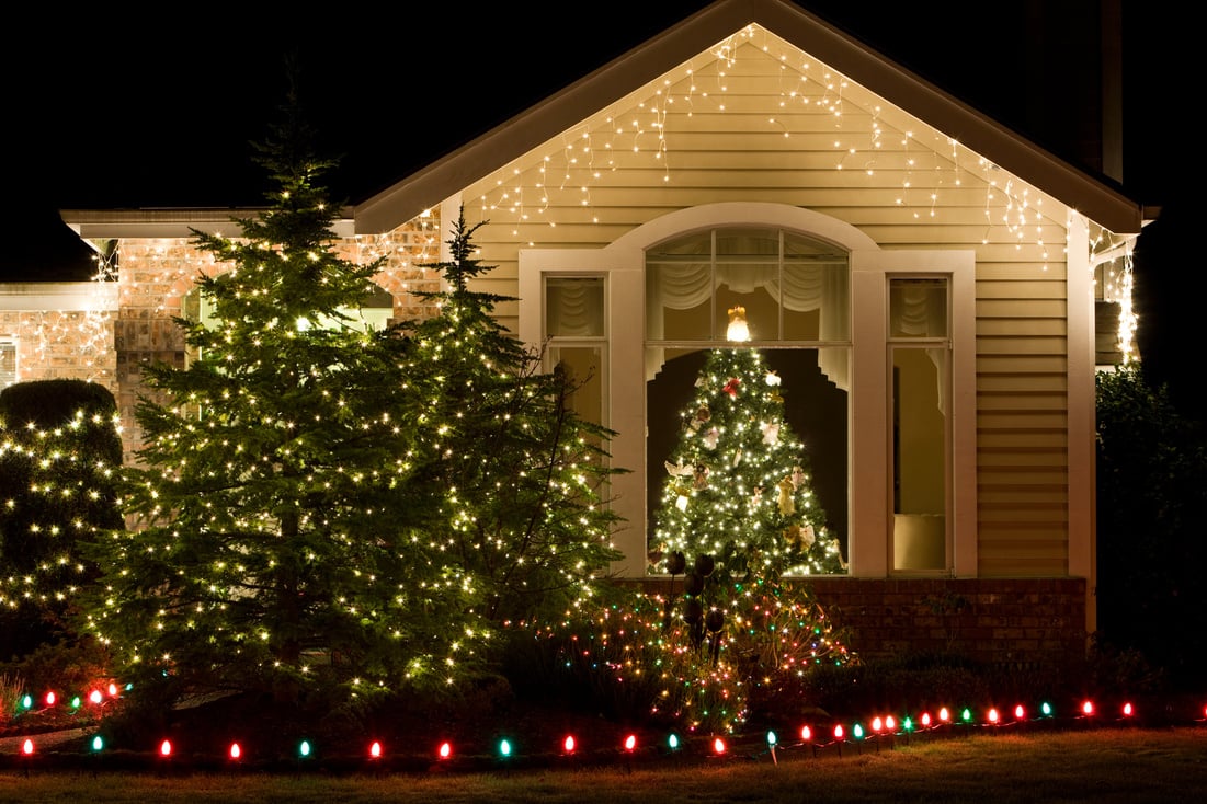 House with Christmas Lights and Tree